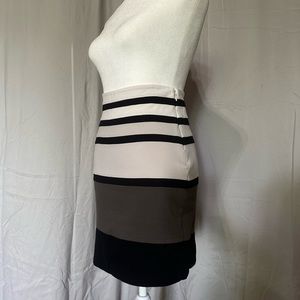 Pencil Skirt